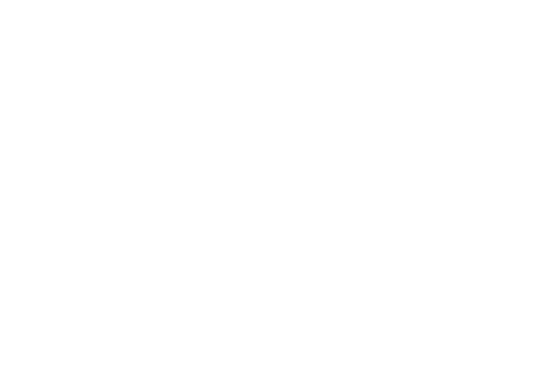 moonwhale